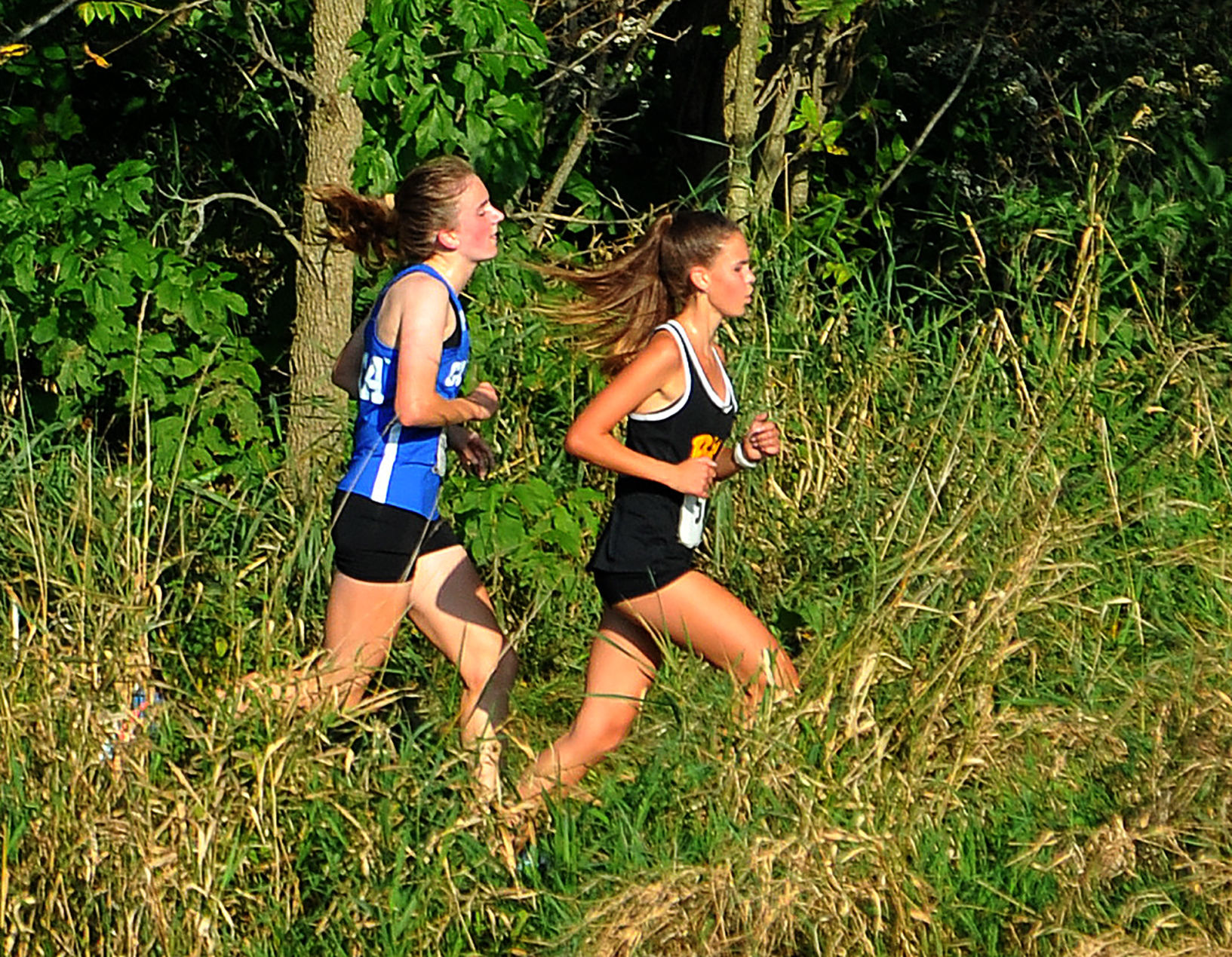 North Scott cross country